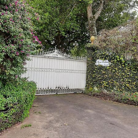 Apartament Rosa Cortiana Escalera São Gabriel Zewnętrze zdjęcie
